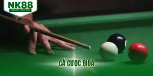 Cá Cược Bida - Tổng Hợp Kèo Và Mẹo Hay Thắng Nhanh