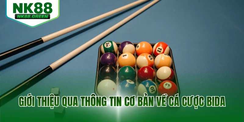 Giới thiệu qua thông tin cơ bản về cá cược bida